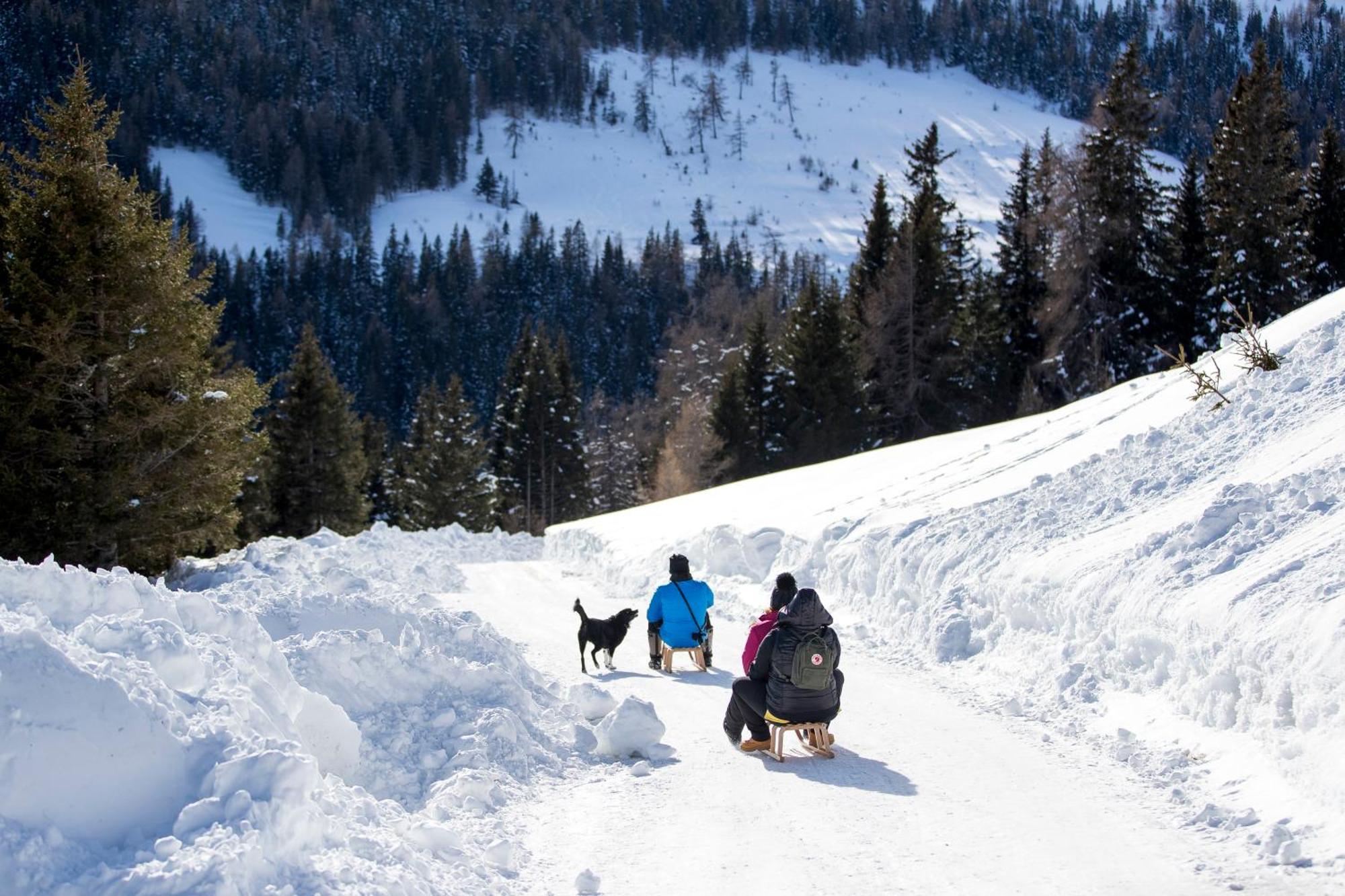 Feriendorf Murau By Alps Resorts מראה חיצוני תמונה